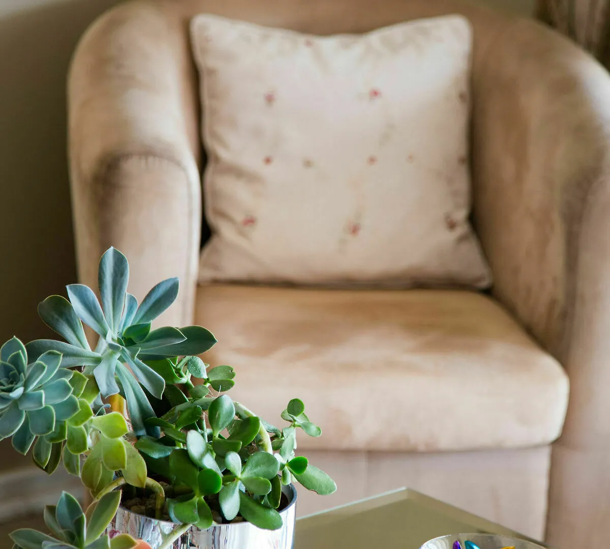 Guest house Four Palms Accommodation Durbanville