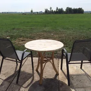  Bed & Breakfast Your Waggon At The Cow's Paradise Netherlands